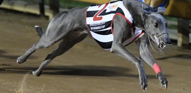 Interstate nominations to be accepted for all Victorian race meetings