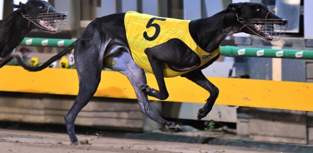 Superstars head to Bendigo on Gold Rush Final night