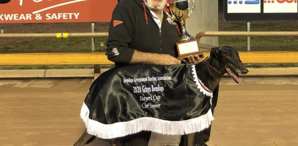 Golden win for Albert