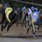 Grenfells quinella Bendigo Cup