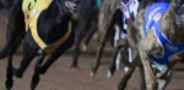 Grenfells quinella Bendigo Cup