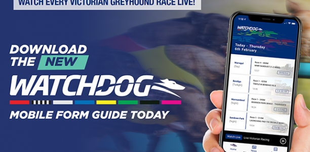 Classic greyhound racing awaits at Cranbourne this Friday