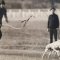 My Greyhound Isn’t Grey: A tribute to Darryl Embling