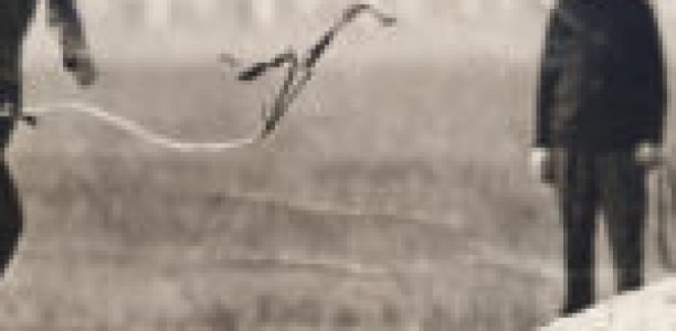 My Greyhound Isn’t Grey: A tribute to Darryl Embling