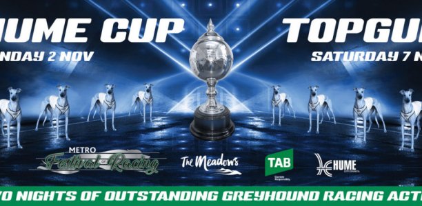 Golden ticket to the Group 1 Topgun