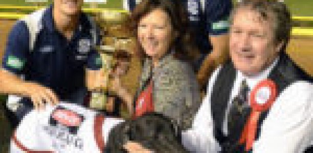 Greyhound racing’s AFL Grand Final connection
