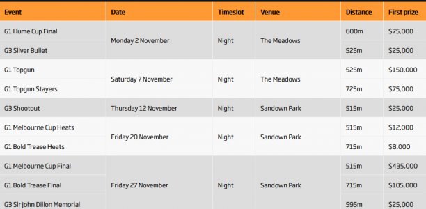 Metro Festival of Racing to kick off on massive Hume Cup night