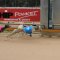 ‘He paid for my heart surgery’: A beautiful bond between greyhound and trainer