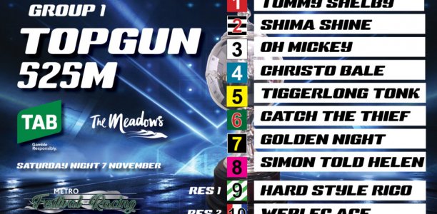 TAB Topgun and Topgun Stayers box draws
