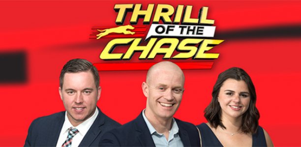 EXCLUSIVE: Every TAB Melbourne Cup finalist’s best and worst box revealed