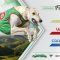 The Watchdog crunches TAB’s ‘All In’ Sale Cup market