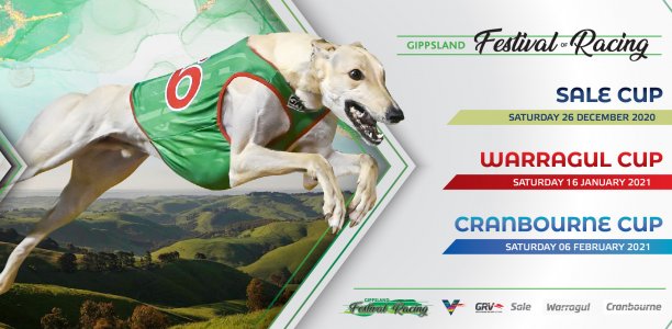 The Watchdog crunches TAB’s ‘All In’ Sale Cup market