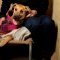 Thunderstorms, fireworks and other noises