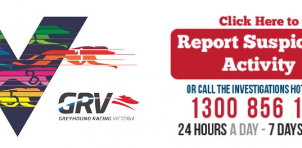 Scam alert regarding exporting of greyhounds