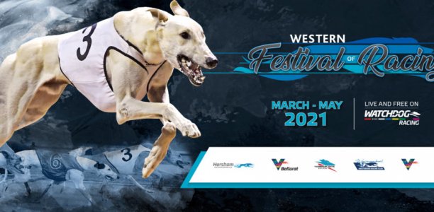 Greyhound clubs unite to launch exciting ‘Western Festival of Racing’