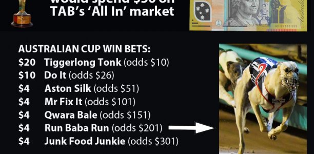 The Watchdog analyses TAB’s ‘All In’ Australian Cup & Super Stayers markets