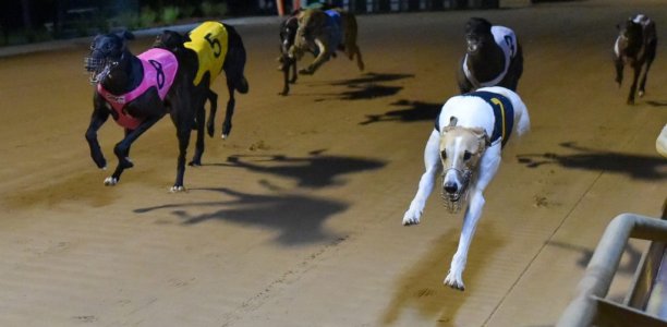 Locals listening for breakthrough tune in Shepparton Cup