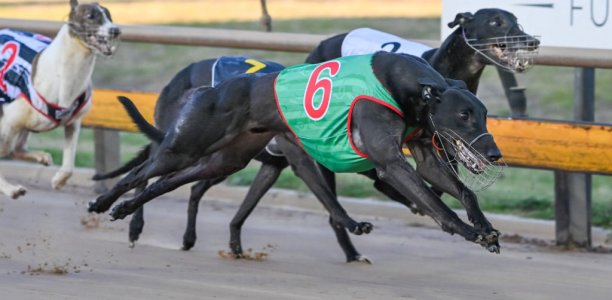 Bulleteer’s shot at Ballarat glory