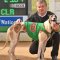 Lenehan’s ‘Nifty’ Mount Gambier recruits