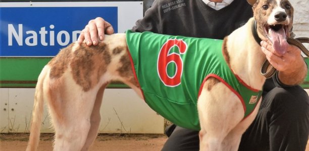 Lenehan’s ‘Nifty’ Mount Gambier recruits