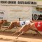 Zarbo too zippy in Mount Gambier Cup