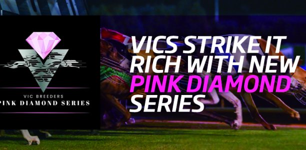 Pink Diamond series – get your team ready