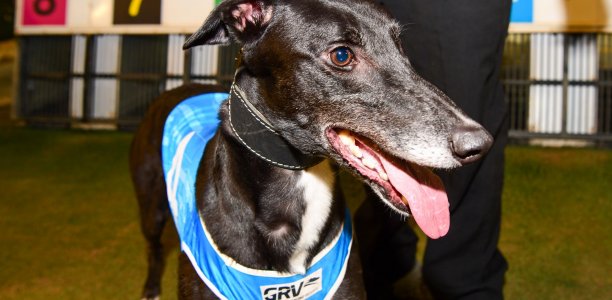 Britton’s G1 double dreams ‘carry on’