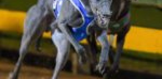 Rambo raids Sandown Cup riches