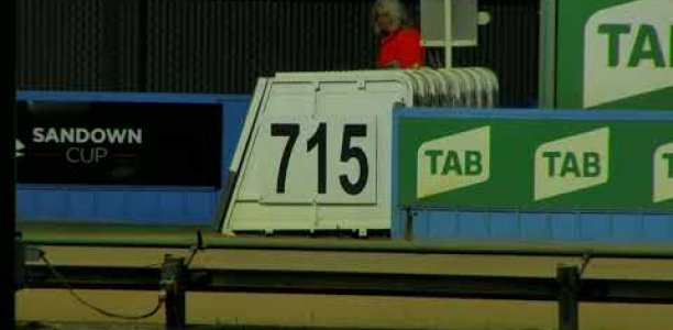 Delbridge chases successive Sandown Cups