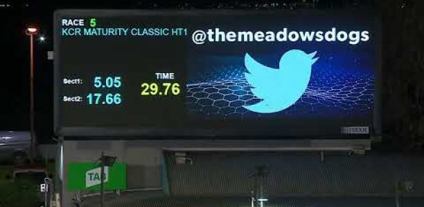 ‘Wow’ factor headlines Maturity heats